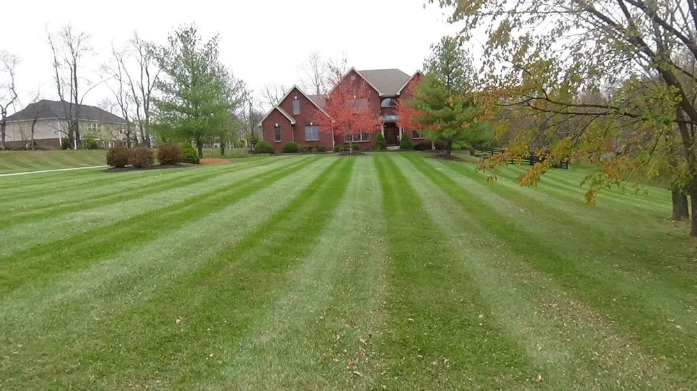 Local residential landscaping in Florence, KY - Alpha Lawns