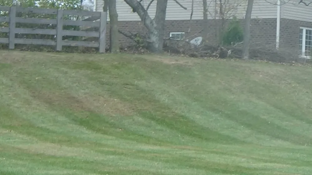 Affordable outdoor landscaping in Florence, KY - Alpha Lawns