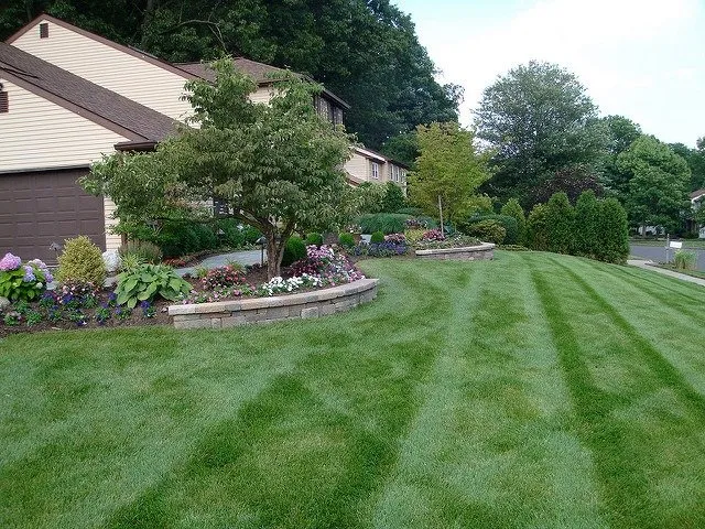 Expert landscaping services in Purcellville, VA - Alpha Le Services LLC
