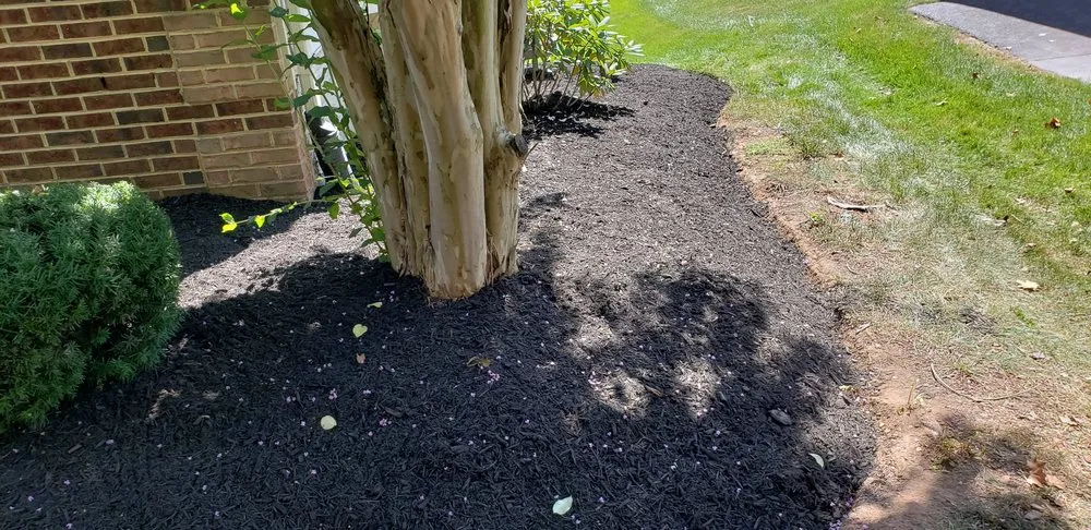 Top-rated yard cleanup service in Purcellville, VA - Alpha Le Services LLC