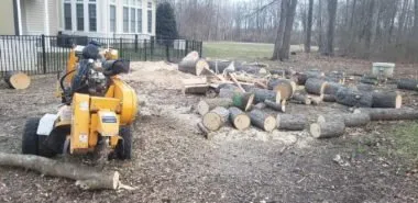 Local lawn care service in Purcellville, VA - Alpha Le Services LLC