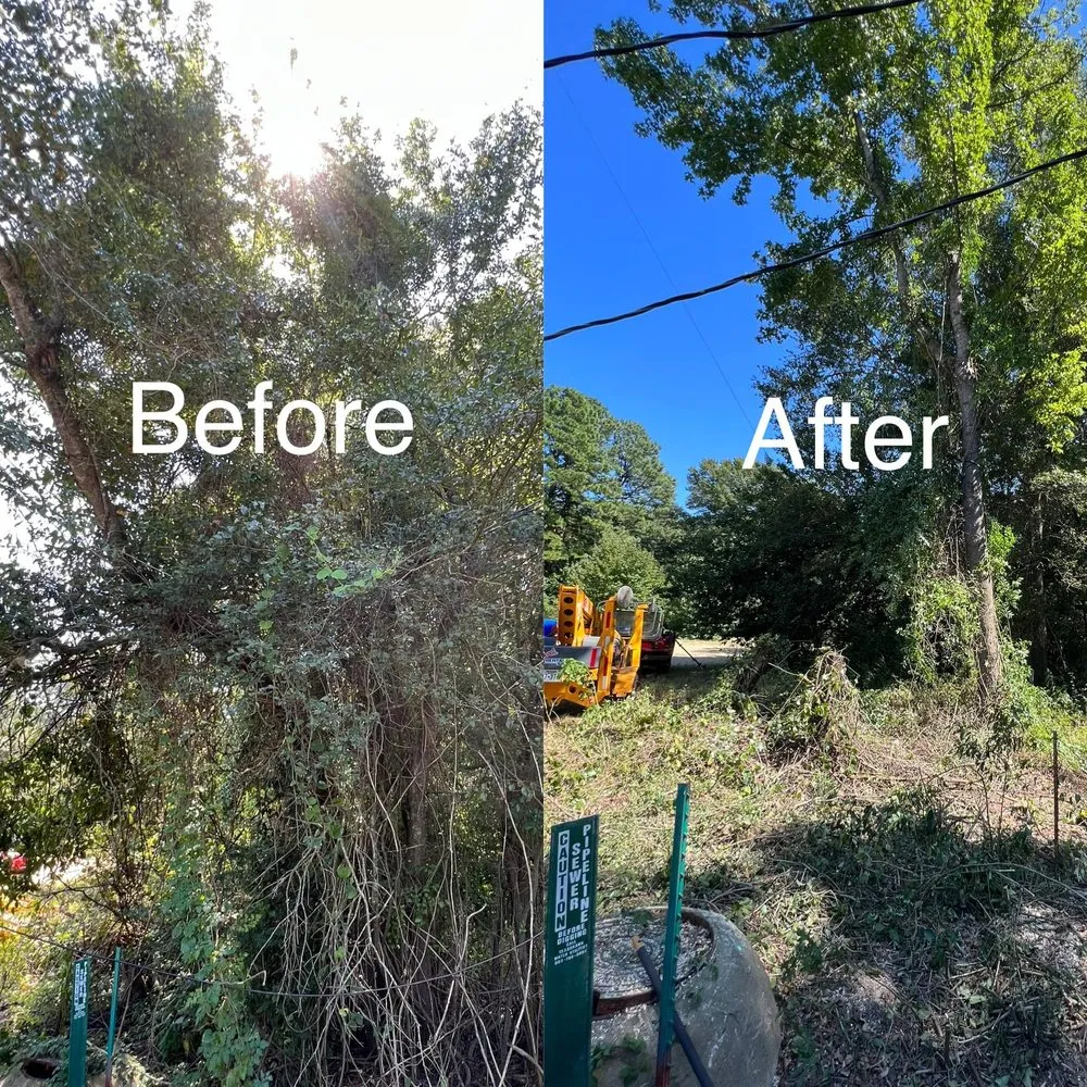 Reliable landscaping services in Texarkana, TX - Alpha Omega Brothers