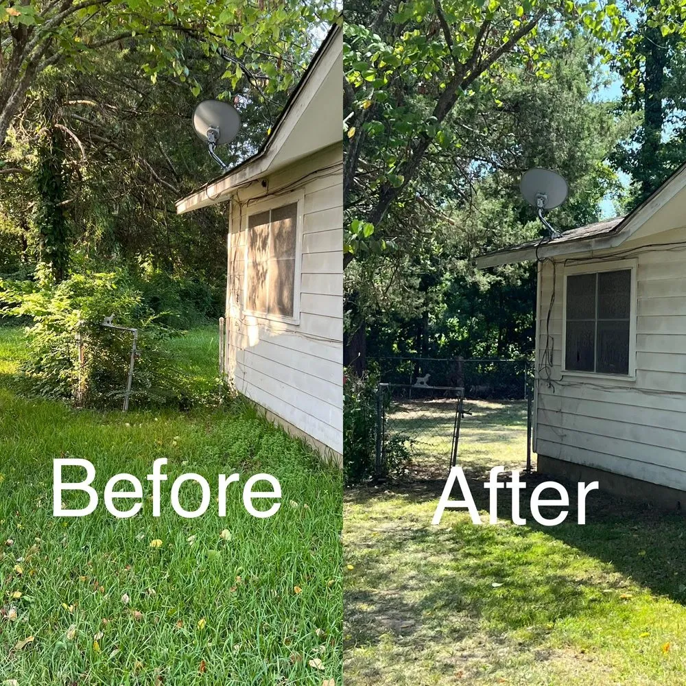 Top-rated landscaping services for beautiful yards in Texarkana, TX by Alpha Omega Brothers