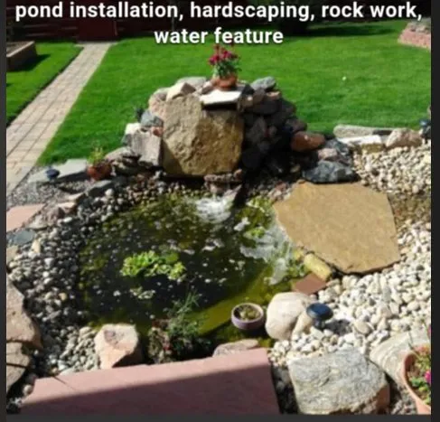 Reliable yard cleanup service in Arvada, CO - Alpha Omega Construction and Hauling