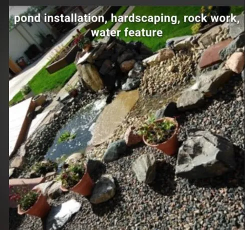 Local yard cleanup service in Arvada, CO by Alpha Omega Construction and Hauling