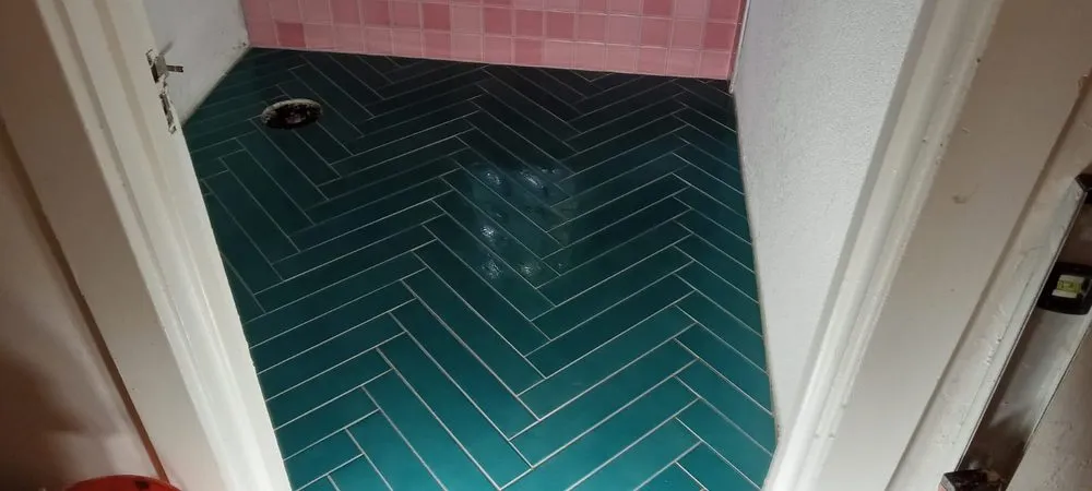 Reliable yard cleanup service in Sacramento, CA - Alpha Omega General Construction & Remodels