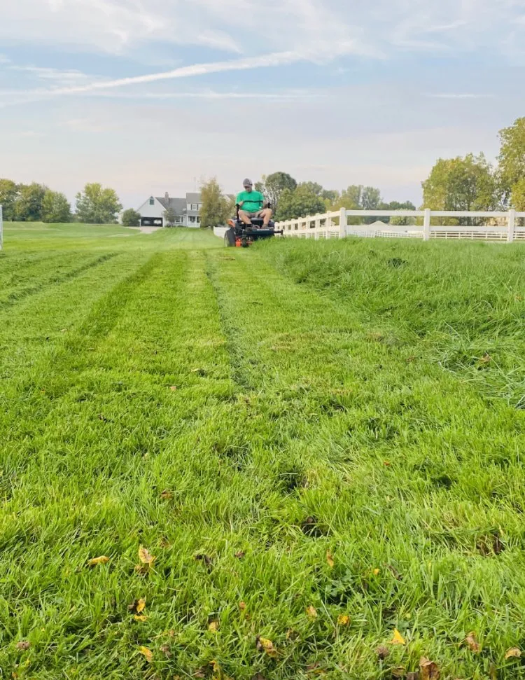 Reliable lawn care service experts serving South Bend, IN - Alpha Omega Home Service