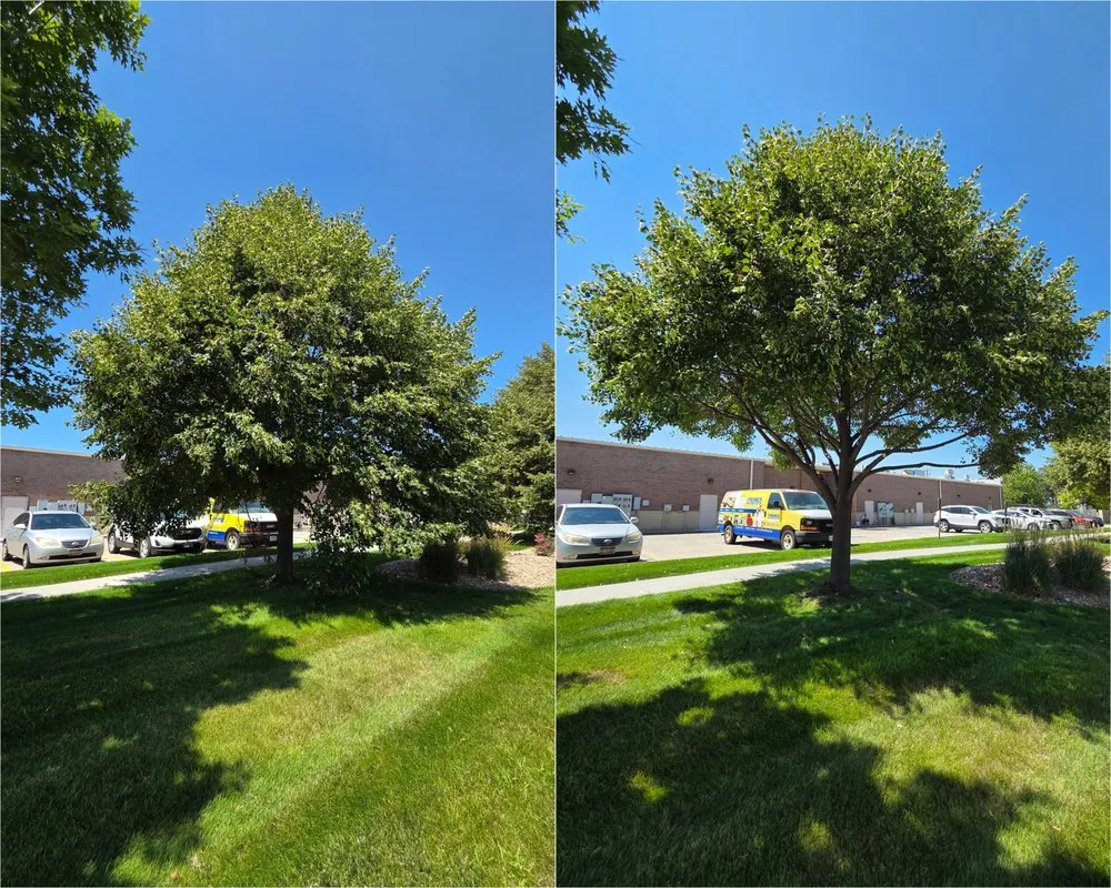 Local landscape design in Kearney, NE - Alpha Outdoor Services