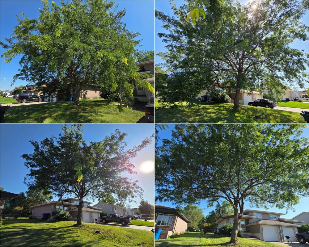 Custom lawn mowing service in Kearney, NE by Alpha Outdoor Services