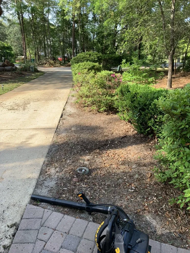 Reliable landscaping services near you in Niceville, FL by Alpha Outdoor Services