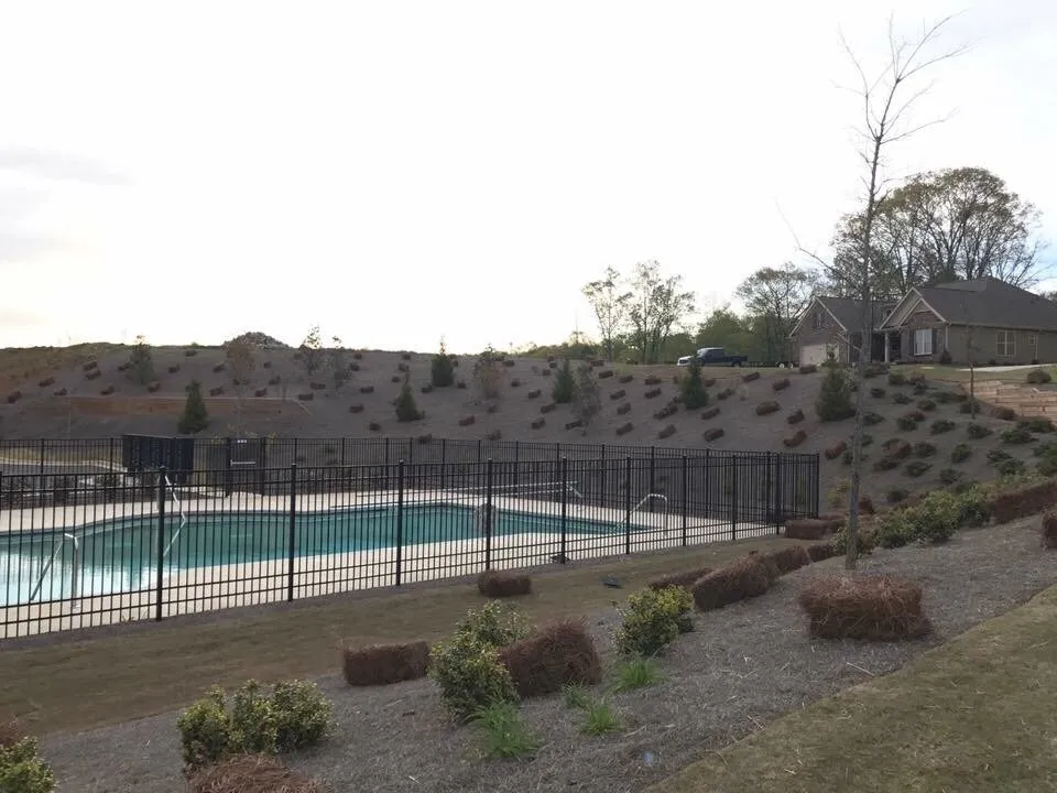 Top-rated lawn care service experts serving Duluth, GA - Alpha Pinestraw & Landscaping