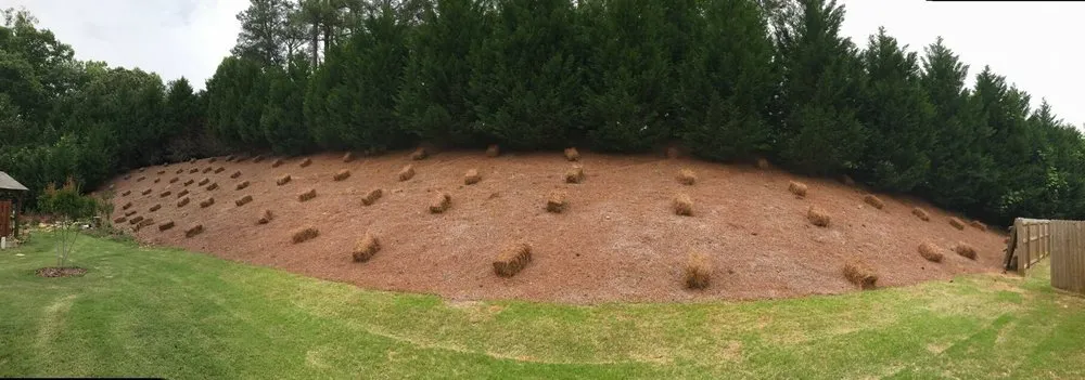 Affordable outdoor landscaping for homes in Duluth, GA by Alpha Pinestraw & Landscaping