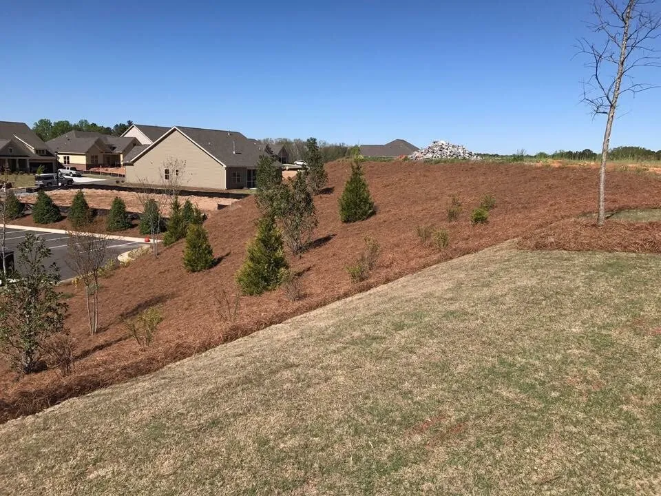 Local landscape design near you across Duluth, GA - Alpha Pinestraw & Landscaping
