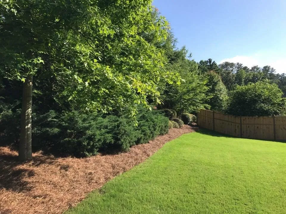 Professional outdoor landscaping with custom design across Duluth, GA - Alpha Pinestraw & Landscaping