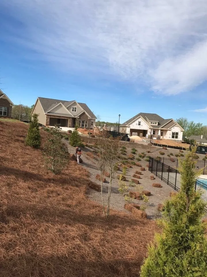 Expert yard maintenance for beautiful yards in Duluth, GA by Alpha Pinestraw & Landscaping