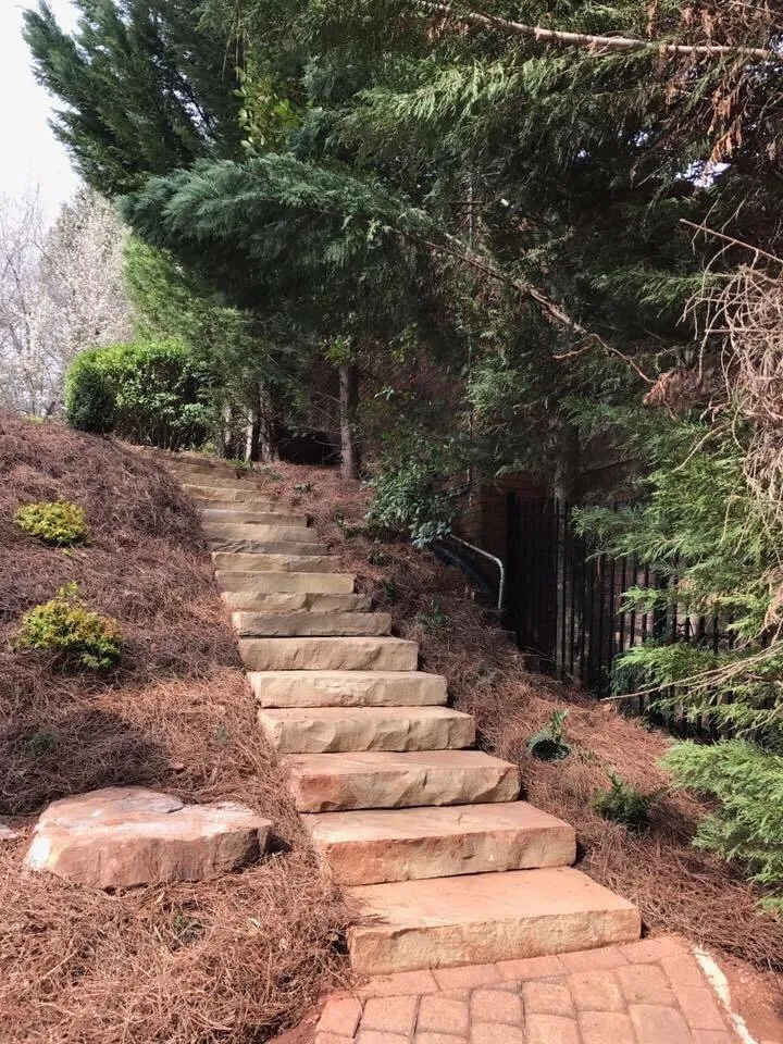 Expert yard cleanup service with custom design in Duluth, GA by Alpha Pinestraw & Landscaping