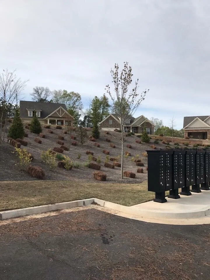 Custom landscape design experts serving Duluth, GA - Alpha Pinestraw & Landscaping