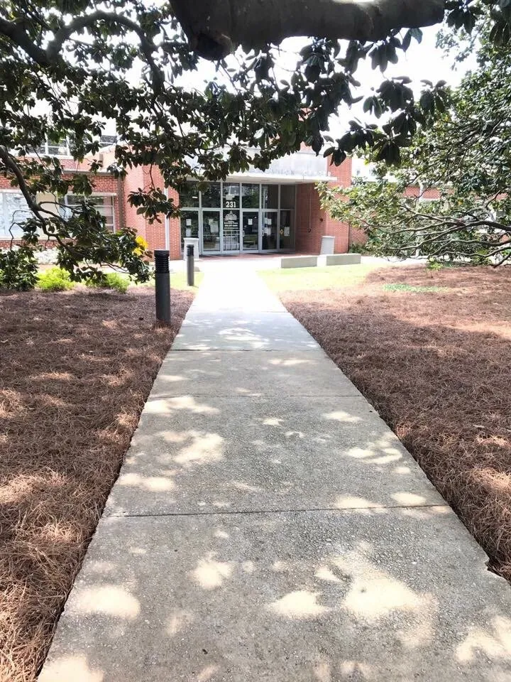 Top-rated landscape design in Duluth, GA - Alpha Pinestraw & Landscaping