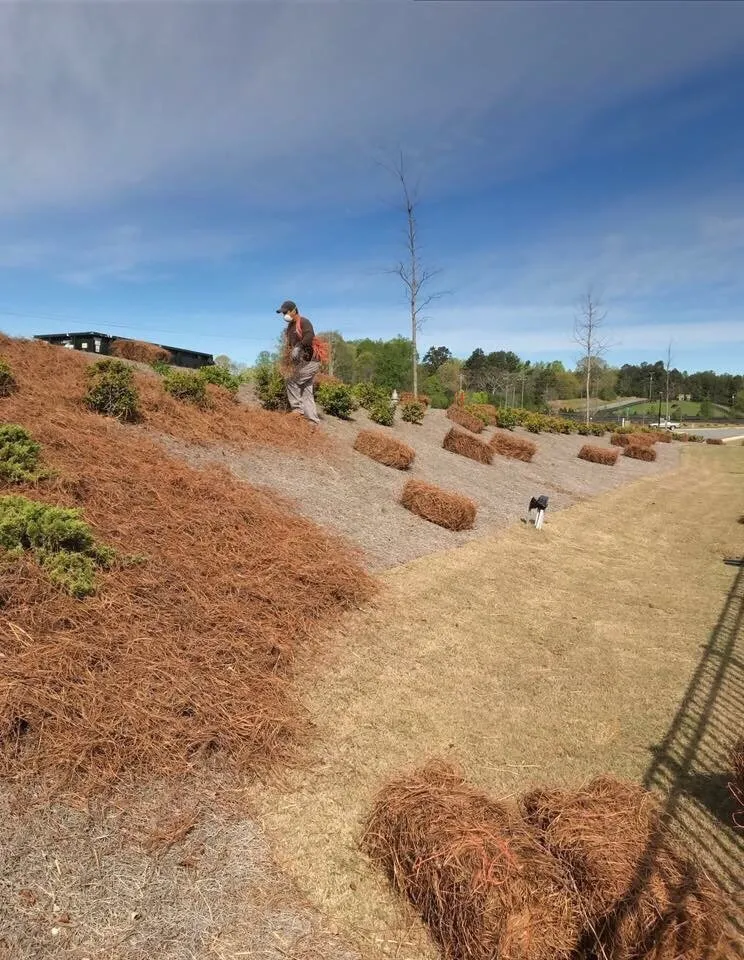 Affordable landscape installation with custom design in Duluth, GA by Alpha Pinestraw & Landscaping