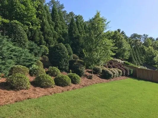 Alpha Pinestraw & Landscaping