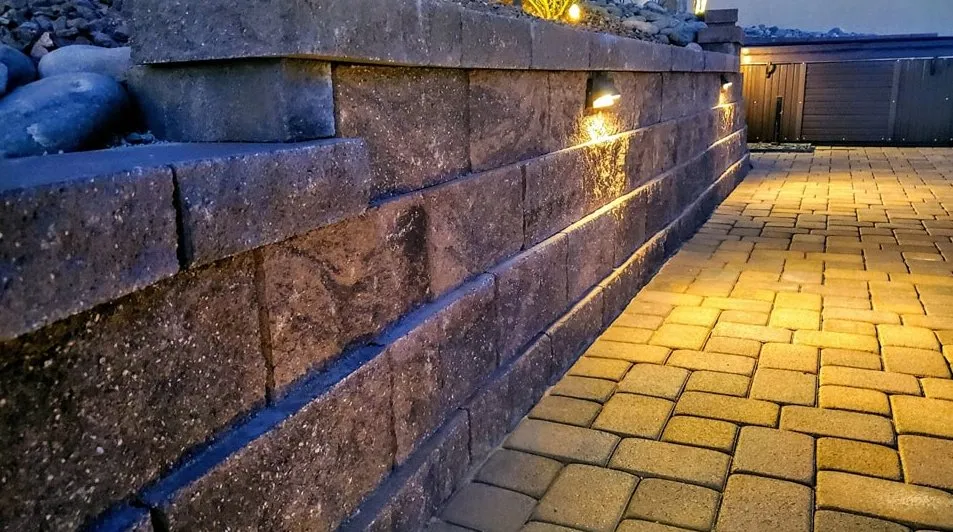 Professional yard cleanup service in Lake Havasu City, AZ - Alpha Pools and Landscape