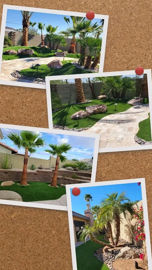 Affordable landscape installation in Lake Havasu City, AZ - Alpha Pools and Landscape