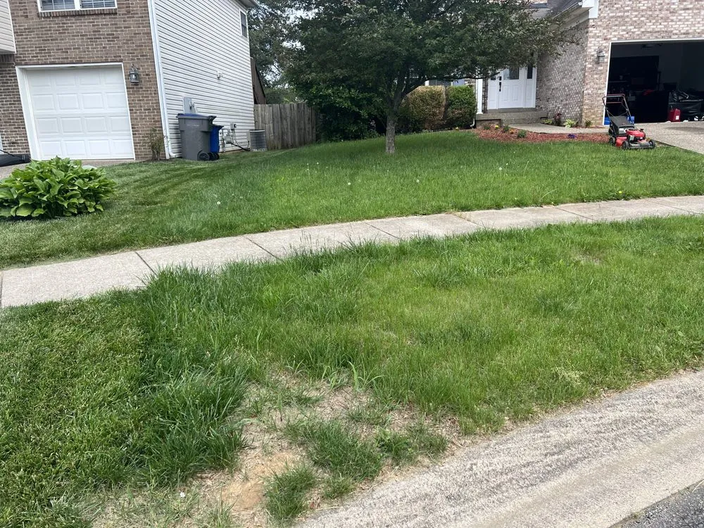 Expert lawn care service with custom design in Hollyvilla, KY by Alpha Pro Lawn Care & Landscape