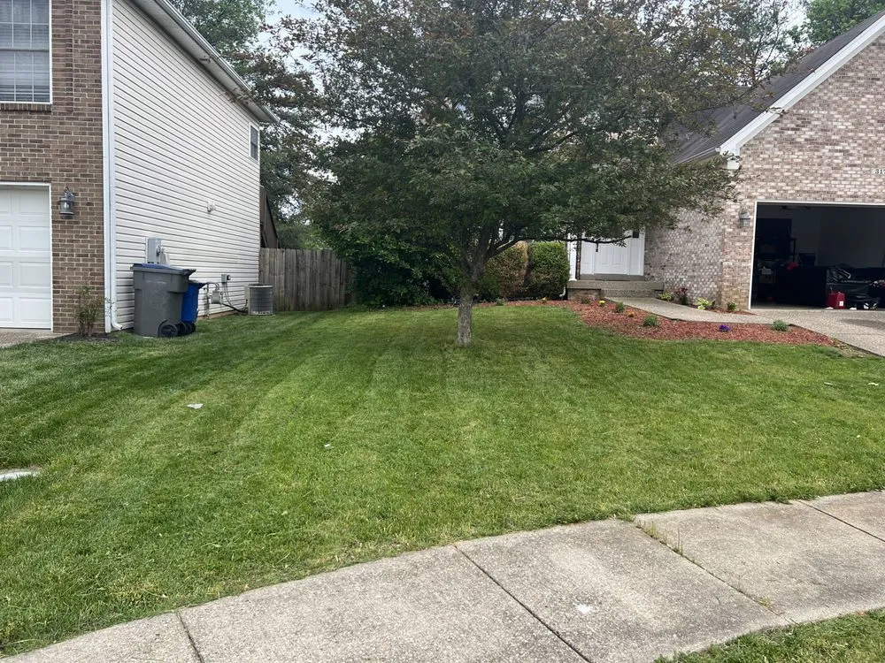 Professional yard maintenance for homes in Hollyvilla, KY by Alpha Pro Lawn Care & Landscape