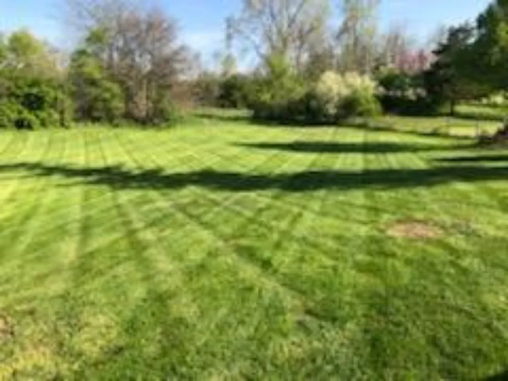 Professional yard cleanup service experts serving Wilmington, OH - Alpha Property Maintenance