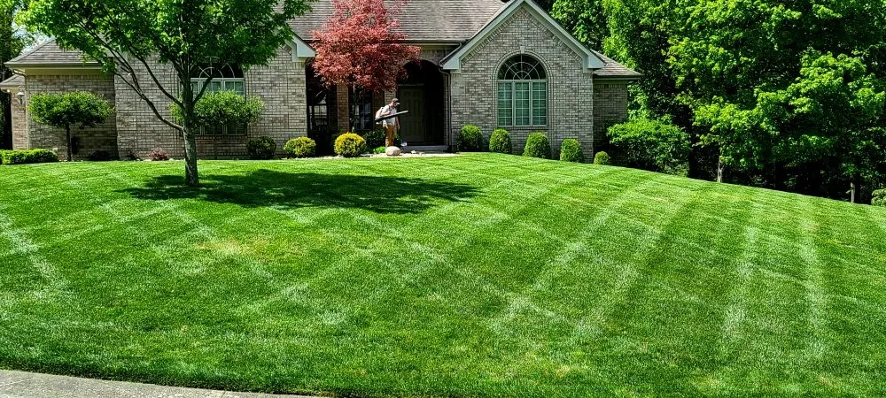 Top-rated lawn mowing service experts serving Wilmington, OH - Alpha Property Maintenance