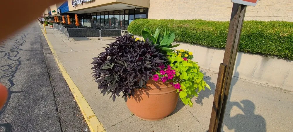 Custom lawn mowing service in Wilmington, OH by Alpha Property Maintenance