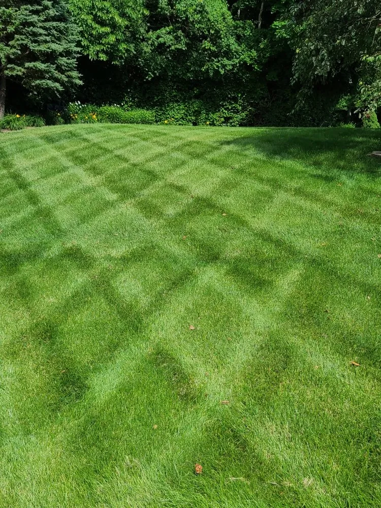 Reliable landscape design experts serving Wilmington, OH - Alpha Property Maintenance