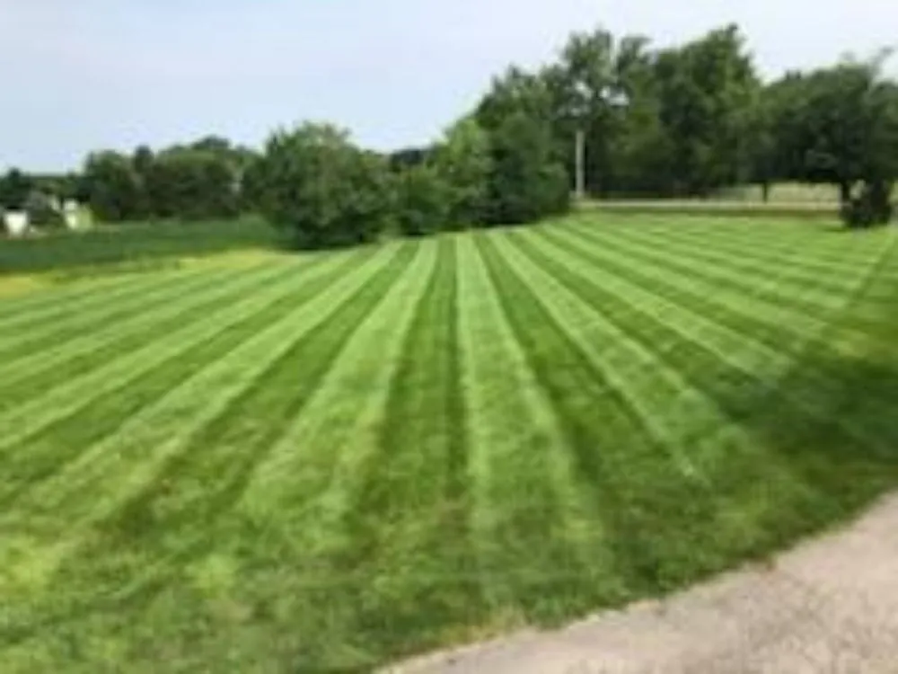 Trusted lawn care service experts serving Wilmington, OH - Alpha Property Maintenance