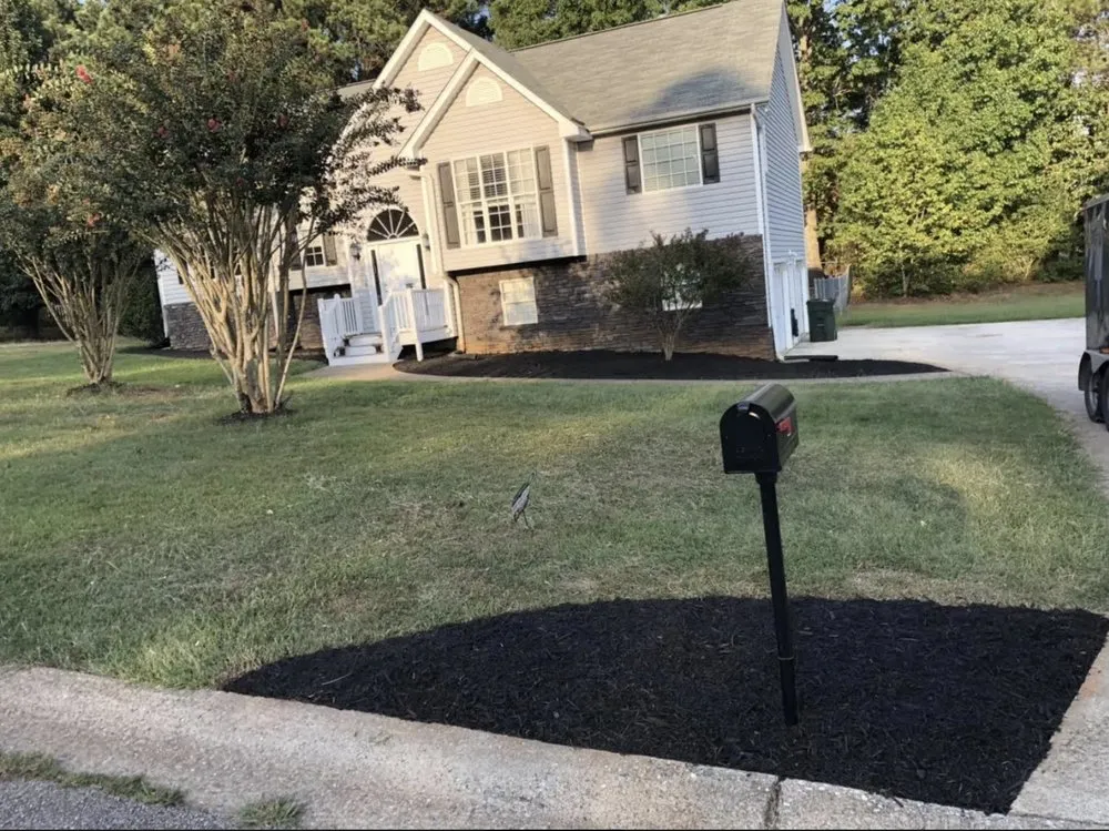 Top-rated residential landscaping near you across Douglasville, GA - Alpha Property Services