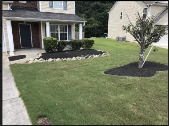 Local lawn care service experts serving Douglasville, GA - Alpha Property Services