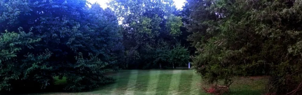 Top-rated lawn care service for year-round maintenance across Knoxville, TN - Alpha Property Services