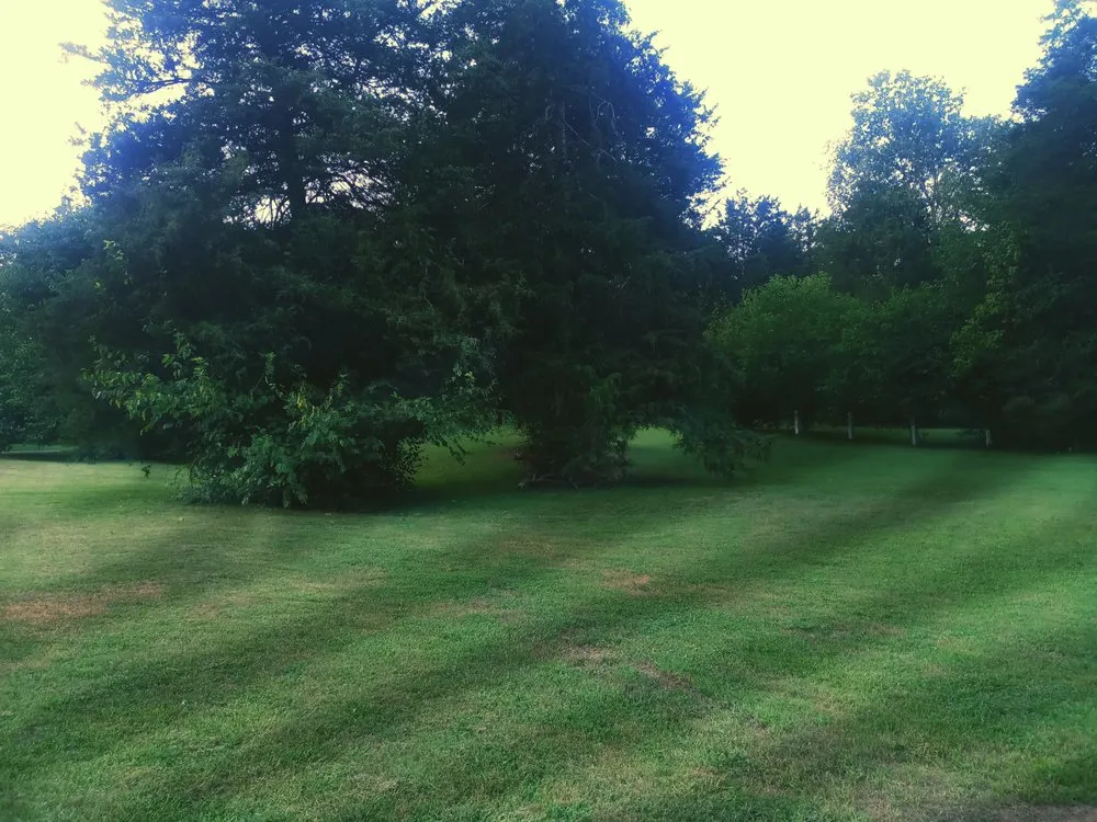 Custom landscape installation for beautiful yards in Knoxville, TN by Alpha Property Services