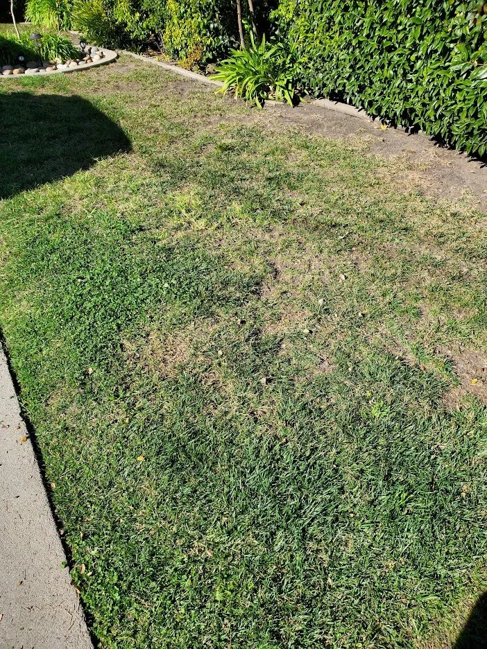 Reliable landscape design experts serving Half Moon Bay, CA - Alpha Star Lawn Care