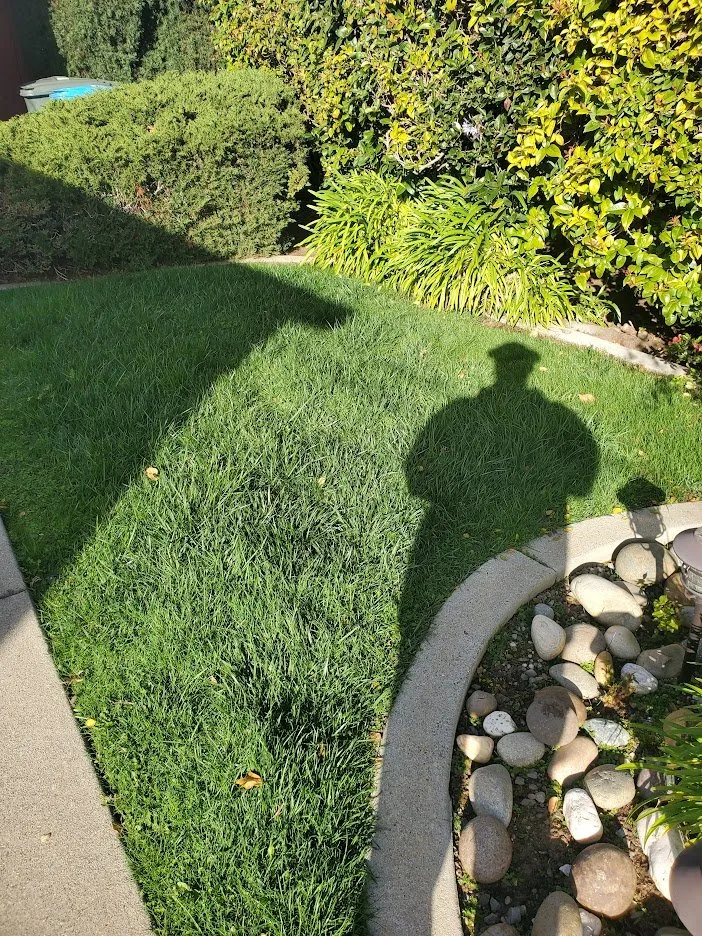 Custom lawn mowing service with custom design across Half Moon Bay, CA - Alpha Star Lawn Care