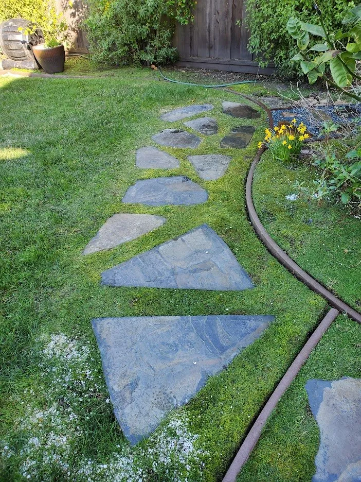 Affordable lawn mowing service experts serving Half Moon Bay, CA - Alpha Star Lawn Care