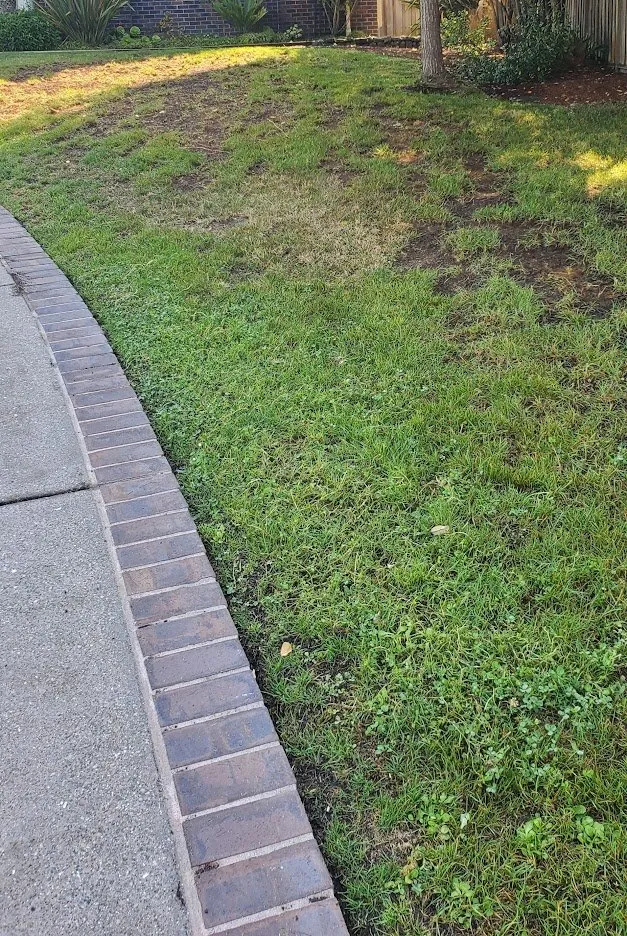 Affordable outdoor landscaping in Half Moon Bay, CA by Alpha Star Lawn Care