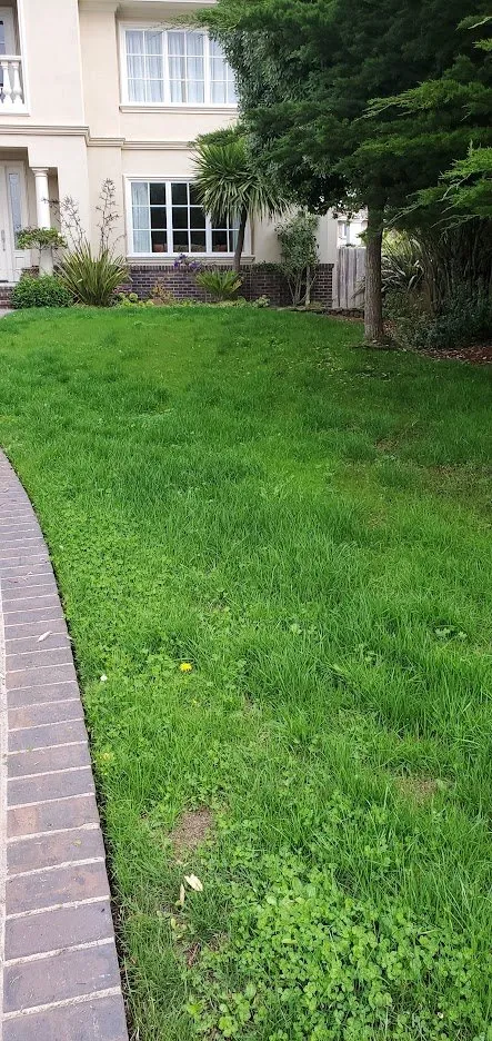 Custom landscape installation experts serving Half Moon Bay, CA - Alpha Star Lawn Care