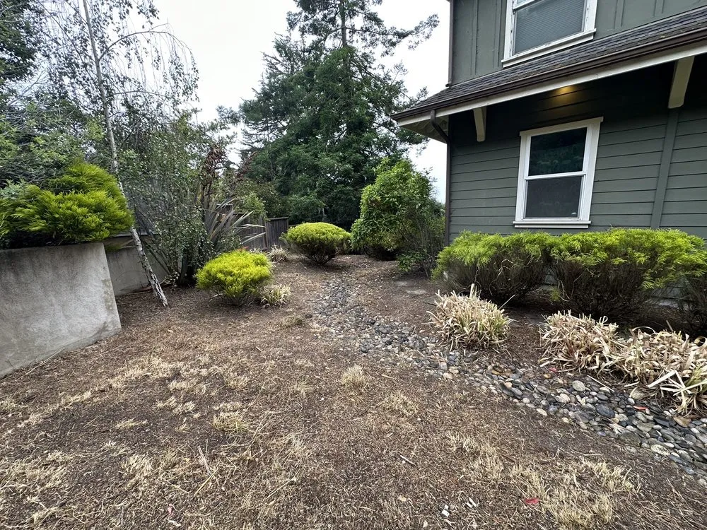 Expert landscape design in Half Moon Bay, CA - Alpha Star Lawn Care