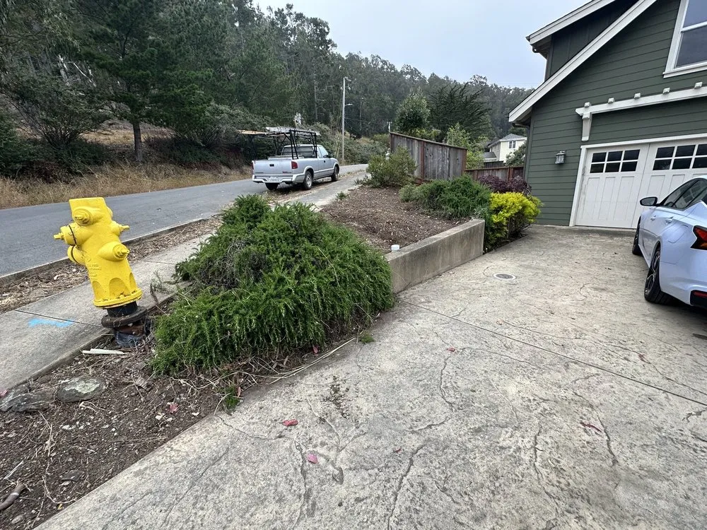 Local yard cleanup service in Half Moon Bay, CA by Alpha Star Lawn Care