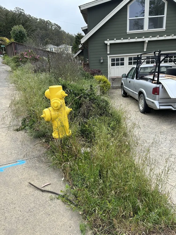 Professional yard maintenance experts serving Half Moon Bay, CA - Alpha Star Lawn Care