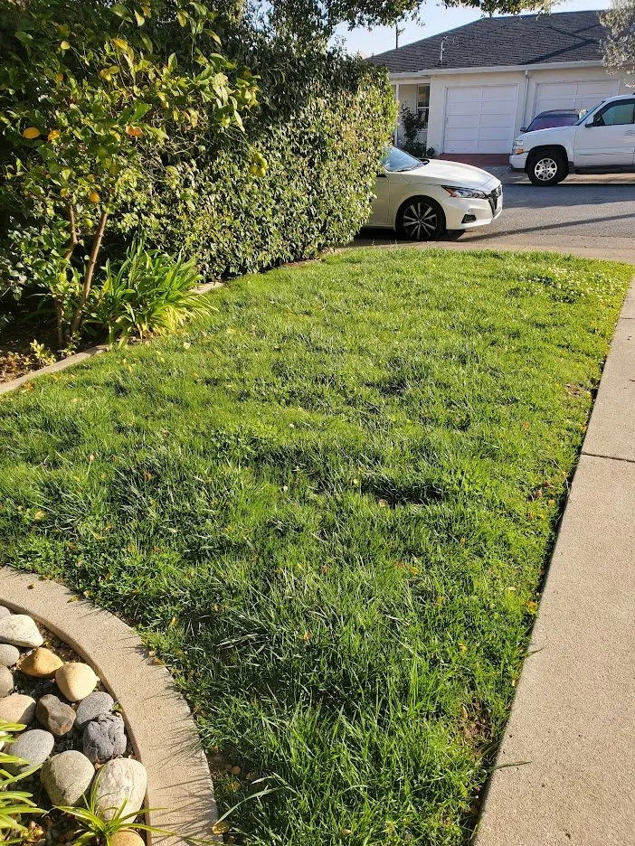 Local landscape design in Half Moon Bay, CA by Alpha Star Lawn Care