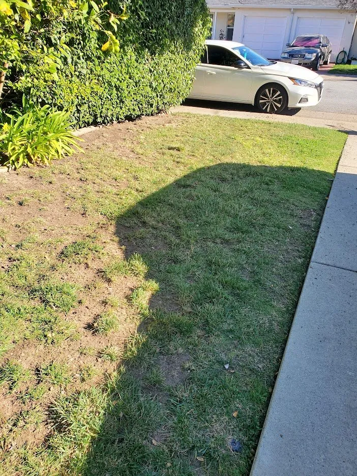 Custom yard cleanup service in Half Moon Bay, CA - Alpha Star Lawn Care