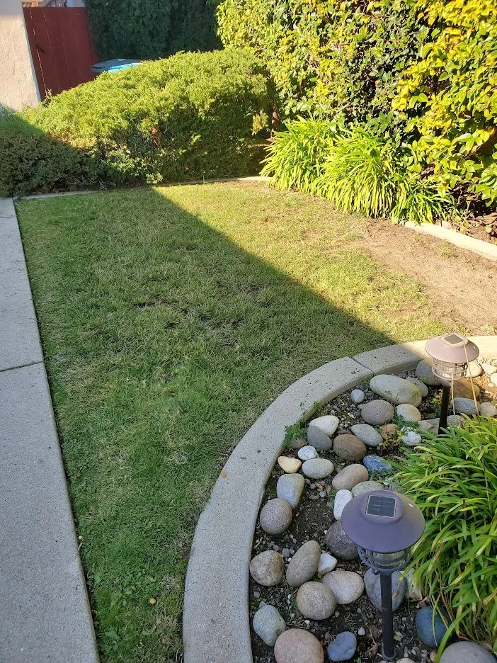 Custom lawn care service in Half Moon Bay, CA - Alpha Star Lawn Care