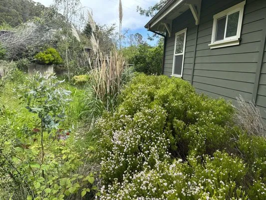 Alpha Star Lawn Care Logo