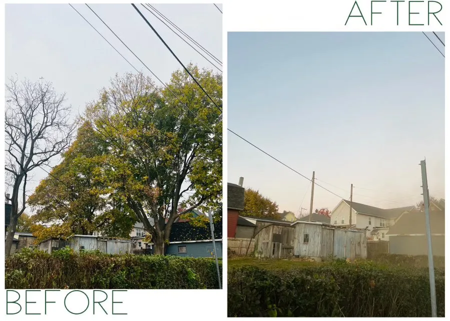 Trusted residential landscaping in Nazareth, PA - Alpha Tree and Property Service